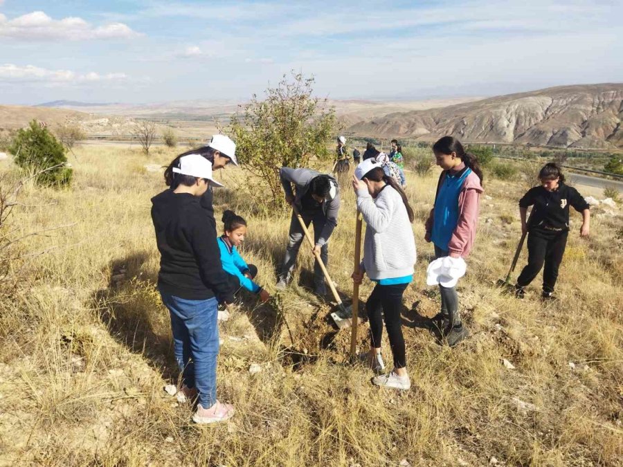 Büyükşehir Belediyesi İlçeleri 22 Bin Fidan İle Buluşturacak