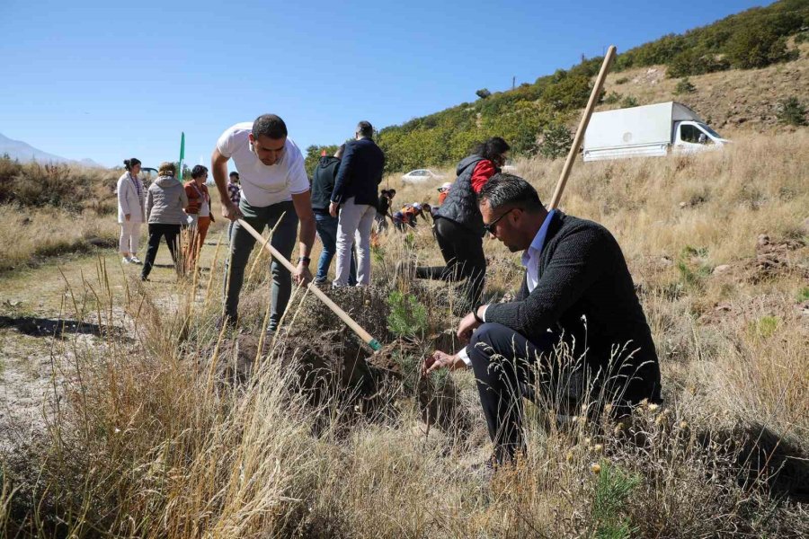 Ali Dağı’na Ağaç Dikmeye Devam