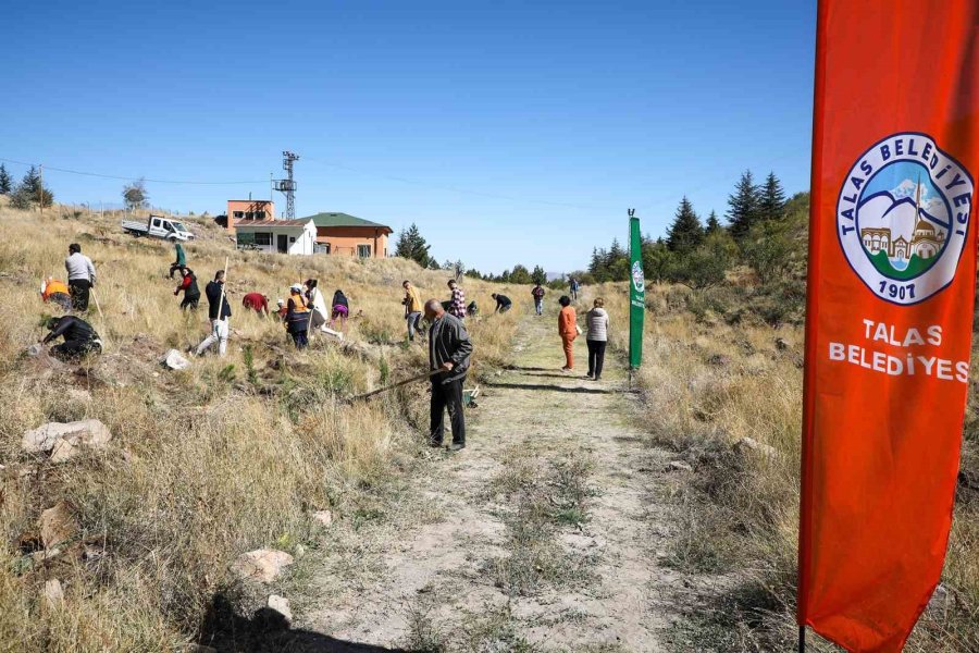 Ali Dağı’na Ağaç Dikmeye Devam