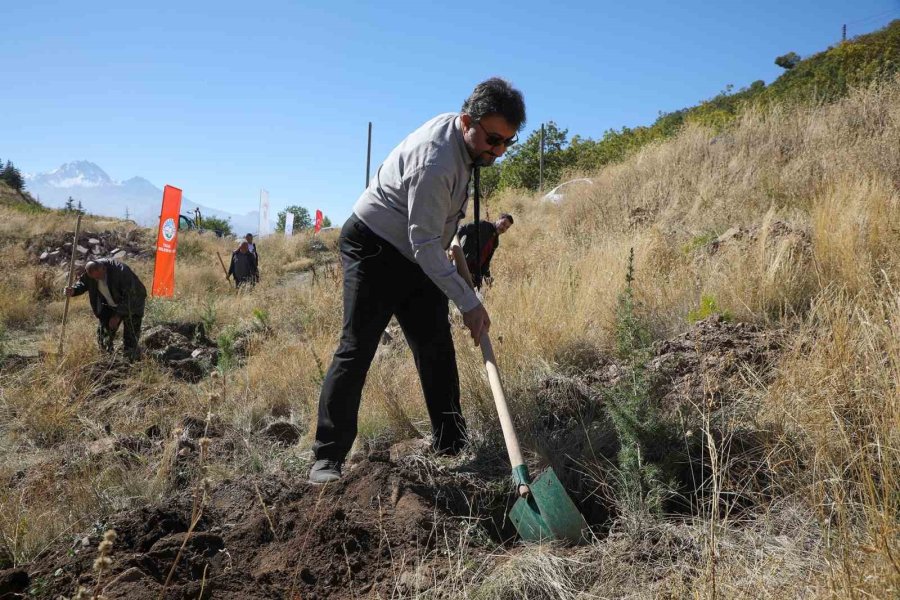 Ali Dağı’na Ağaç Dikmeye Devam