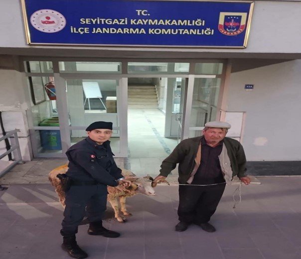 Çalıntı Küçükbaş Hayvanı Sosyal Medya Üzerinden Satmaya Çalışan Şahıs Yakalandı