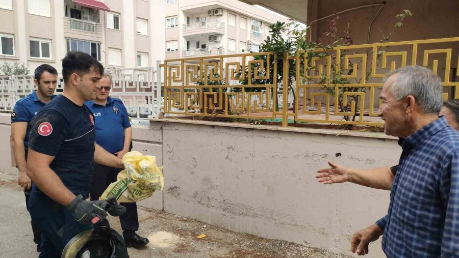 Mahsur Kalan İki Güvercinin Kurtulmasını Sağladılar, Elleriyle Su İçirdiler