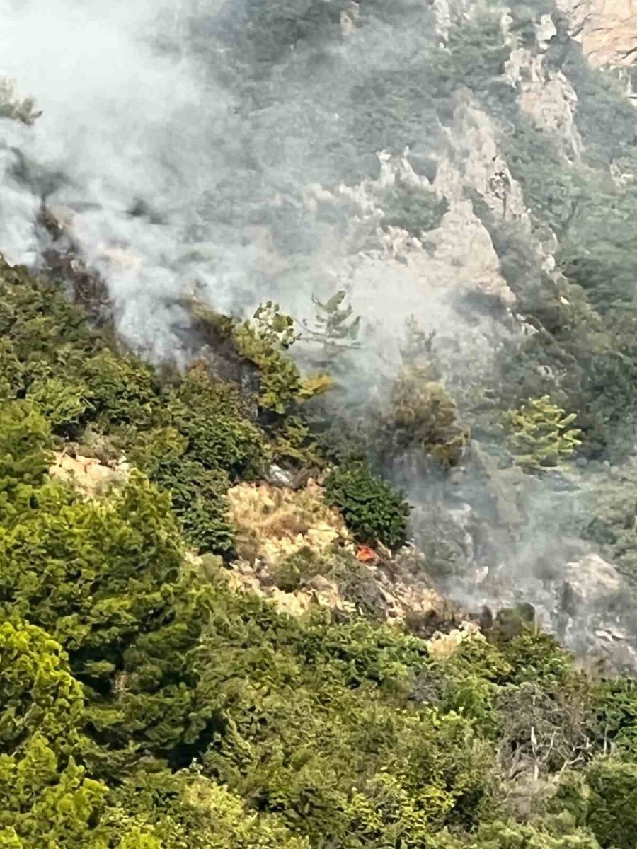 Alanya’da Ormanlık Alanda Çıkan Yangın Söndürüldü