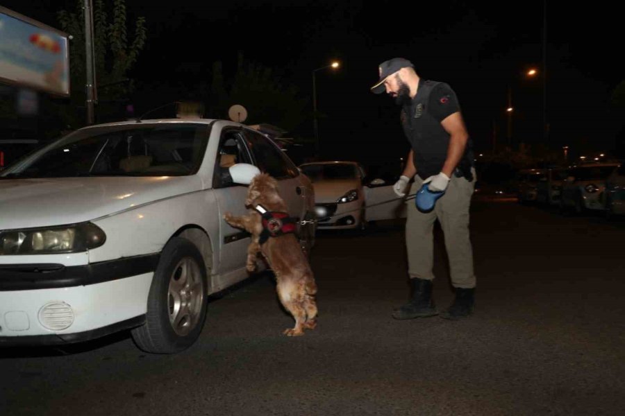 Antalya’da 107 Ekiple Şok Uygulama: Bin 875 Şahıs Sorgulandı