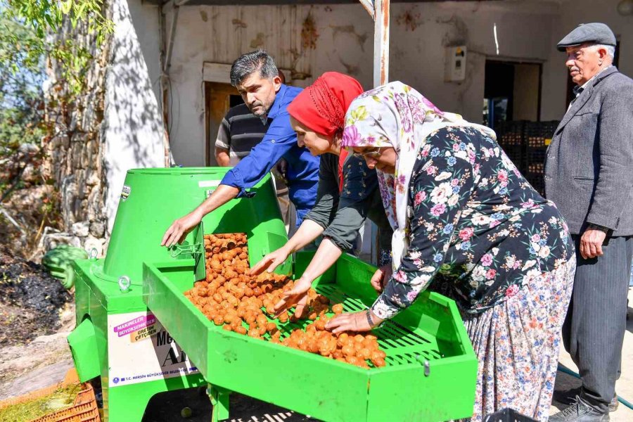 Silifkeli Ceviz Üreticilerinin Kabuk Soyma Derdi Sona Erdi