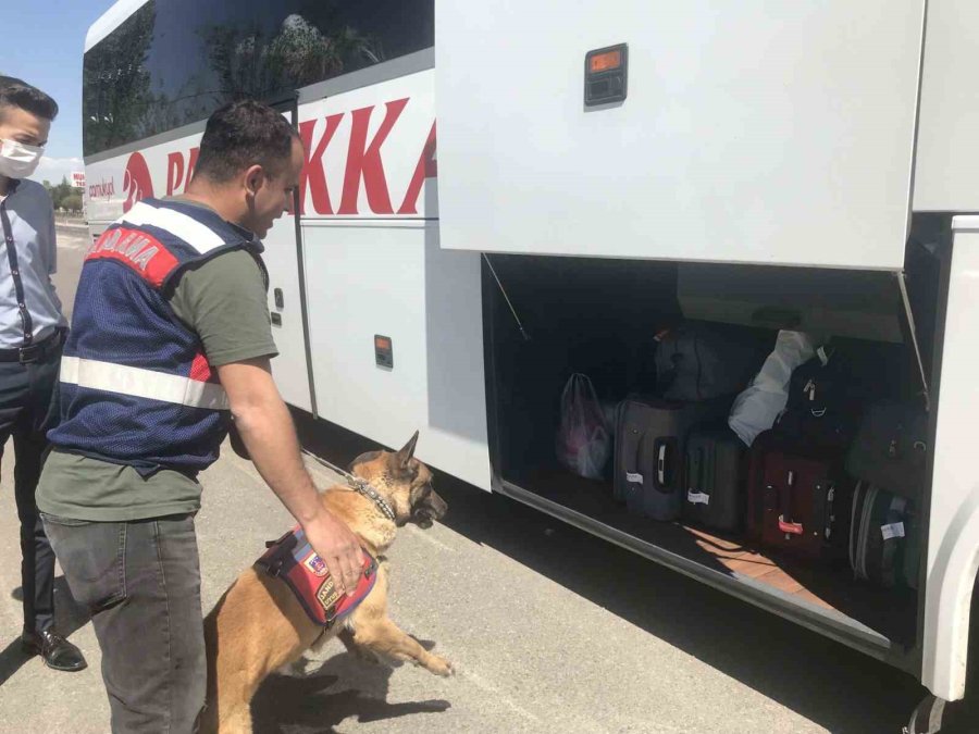 42 Düzensiz Göçmene 488 Bin Tl Ceza Yazıldı