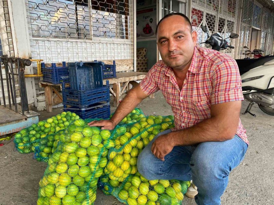 Antalya’da Halde Limon 3 Tl’ye Kadar Düştü