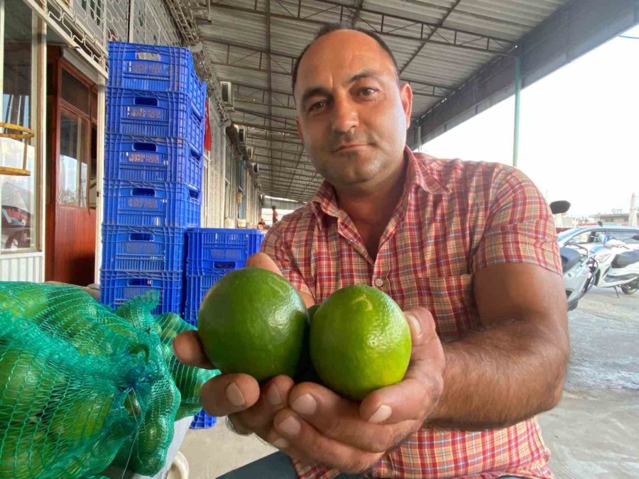 Antalya’da Halde Limon 3 Tl’ye Kadar Düştü