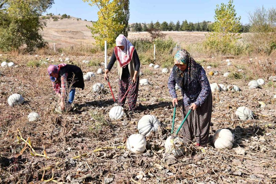 Tepebaşı’nda Kadınlar Ürünlerini Tanıtmanın Gururunu Yaşıyor