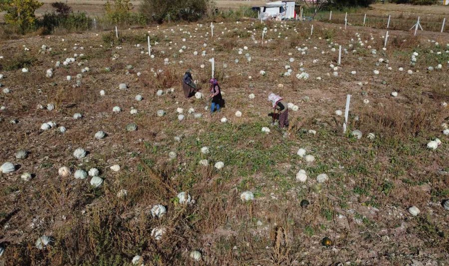 Tepebaşı’nda Kadınlar Ürünlerini Tanıtmanın Gururunu Yaşıyor