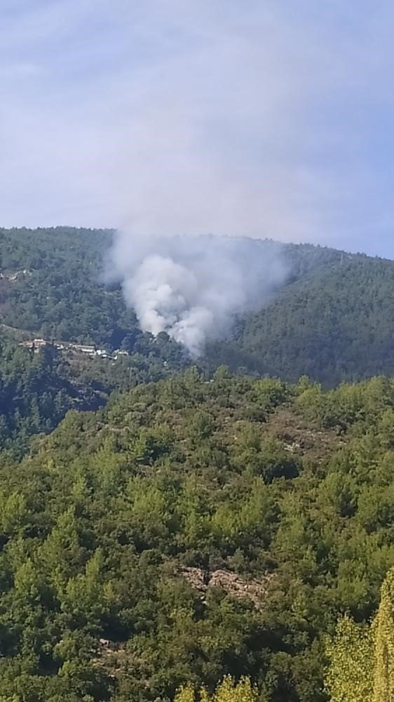 Alanya’da Orman Yangını