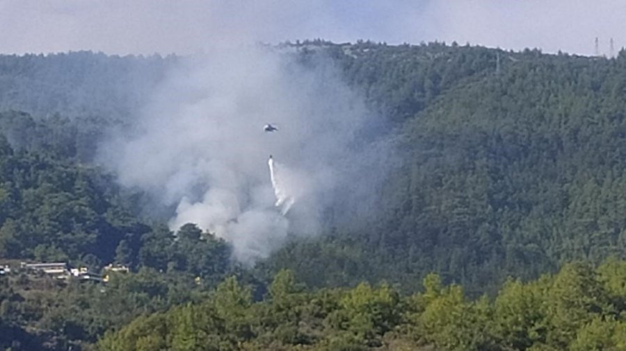 Alanya’da Orman Yangını