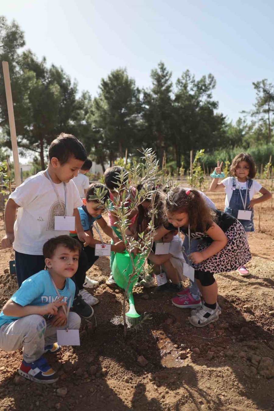 Büyükşehir Belediyesi, Cumhuriyet’in 100’üncü Yılında 1923 Fidanı Toprakla Buluşturdu