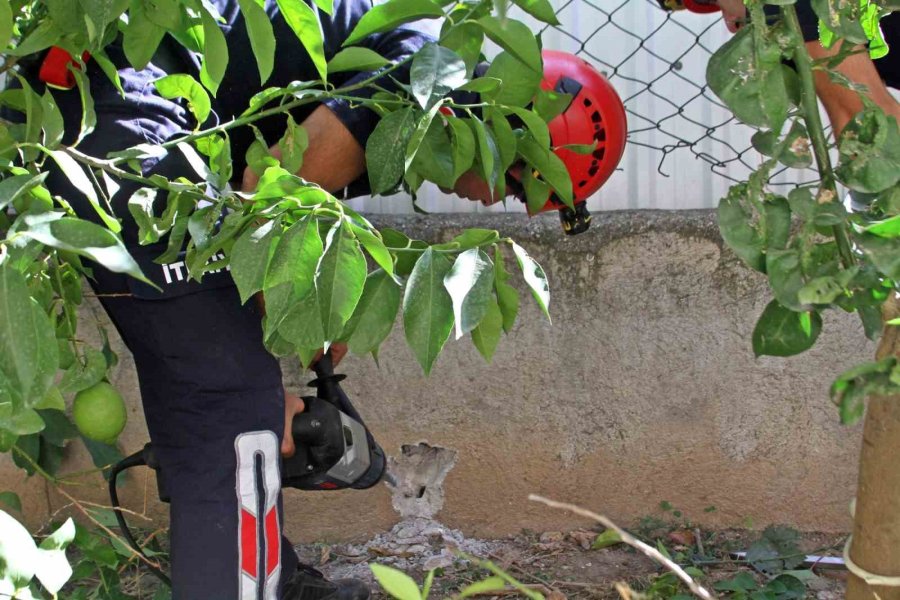 Duvarla Depo Arasına Sıkışan Yavru Kediyi, Çiftin Hayat Öpücü Kurtaramadı