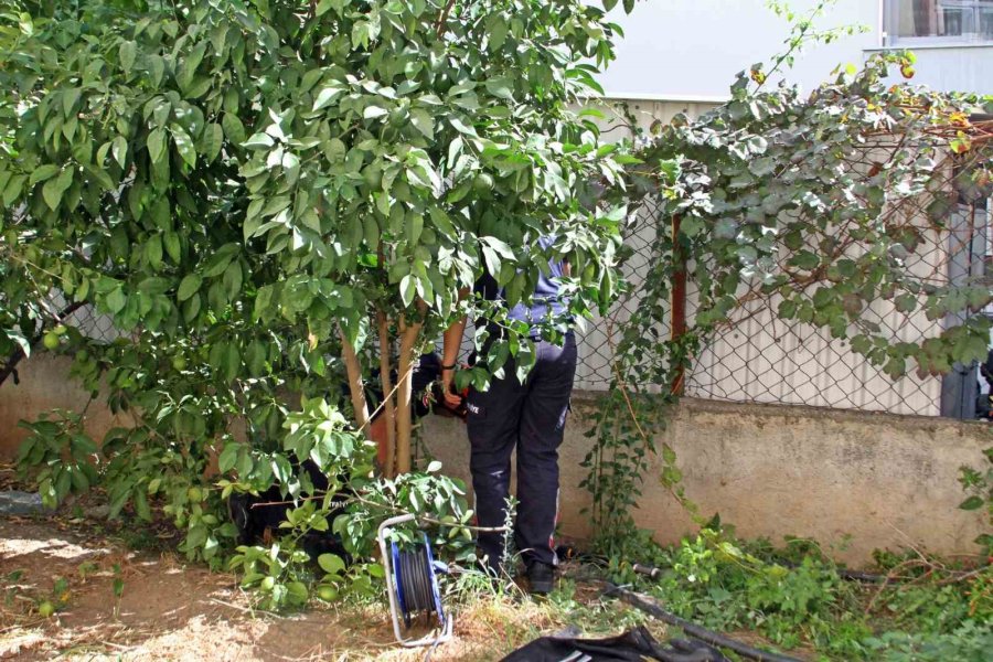 Duvarla Depo Arasına Sıkışan Yavru Kediyi, Çiftin Hayat Öpücü Kurtaramadı