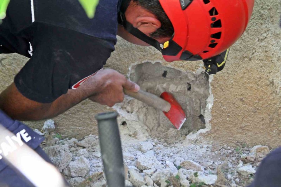 Duvarla Depo Arasına Sıkışan Yavru Kediyi, Çiftin Hayat Öpücü Kurtaramadı