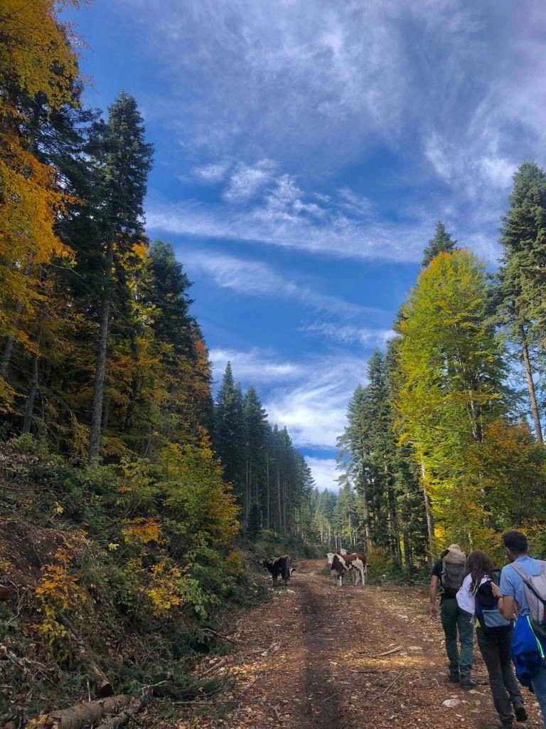 Sonbahar Renkleri Eşliğinde 14 Kilometre Yürüdüler