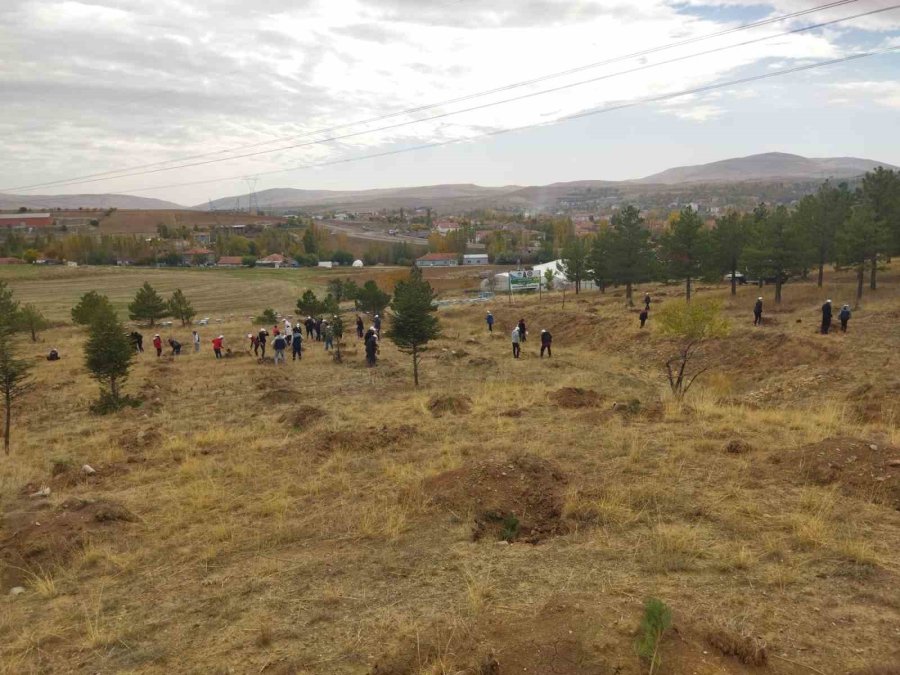 Büyükşehir, Bünyan’da Öğrencilerle Bin Adet Ağaç Dikti