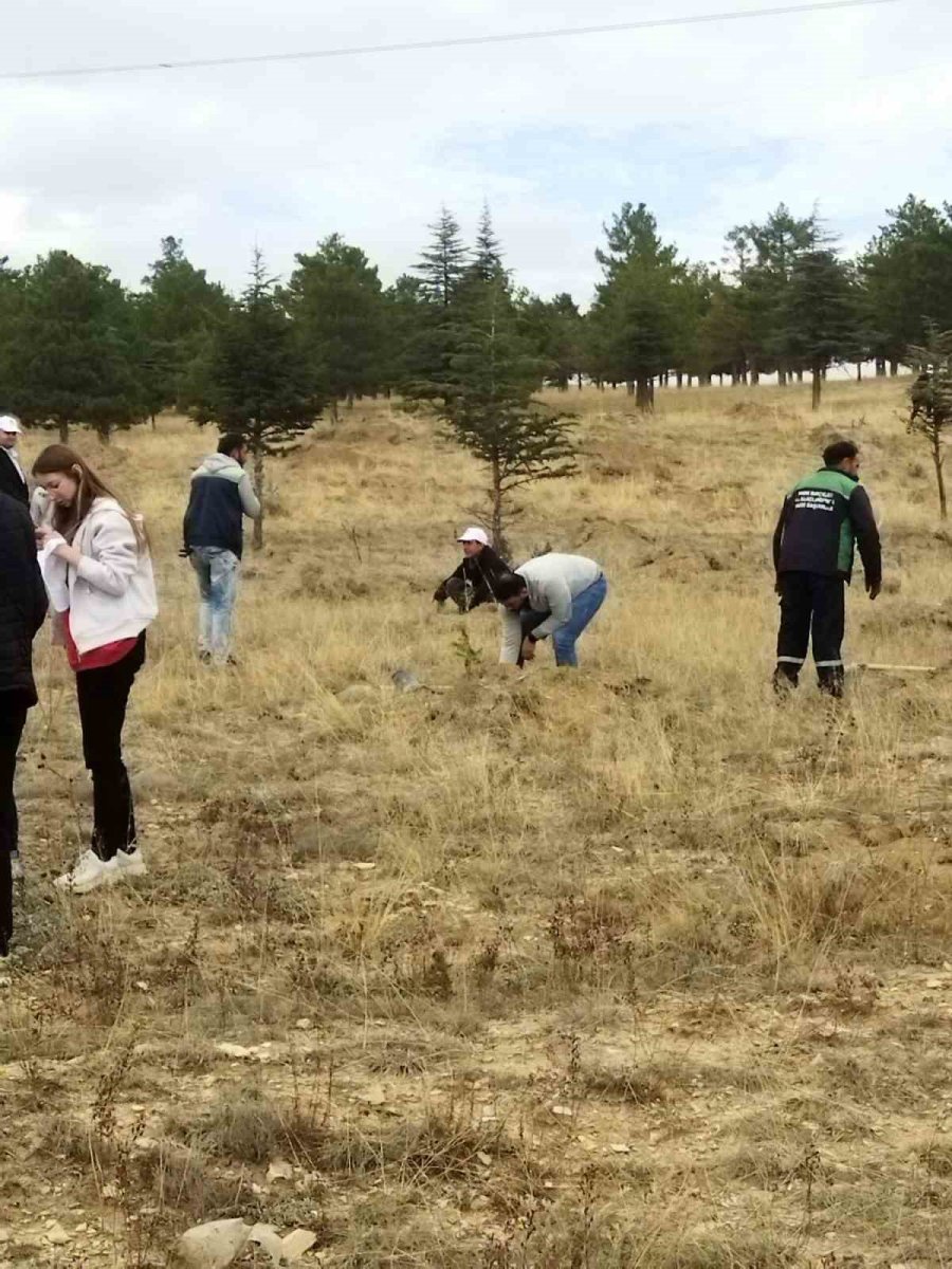 Büyükşehir, Bünyan’da Öğrencilerle Bin Adet Ağaç Dikti