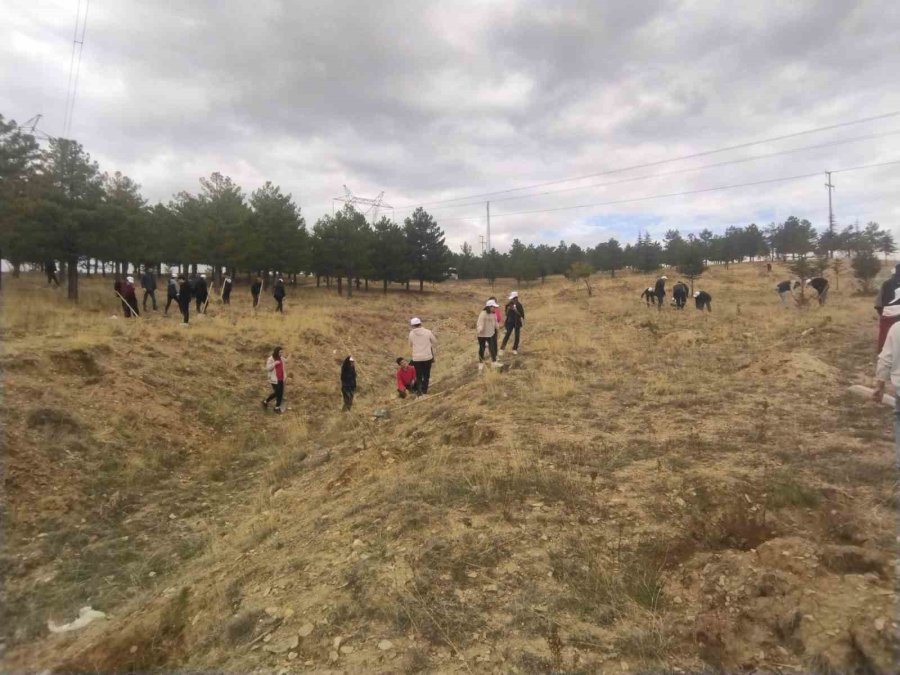 Büyükşehir, Bünyan’da Öğrencilerle Bin Adet Ağaç Dikti