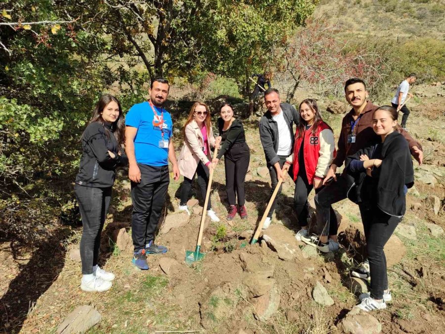 Yaz Demeden Kış Demeden Ağaç Dikiyoruz