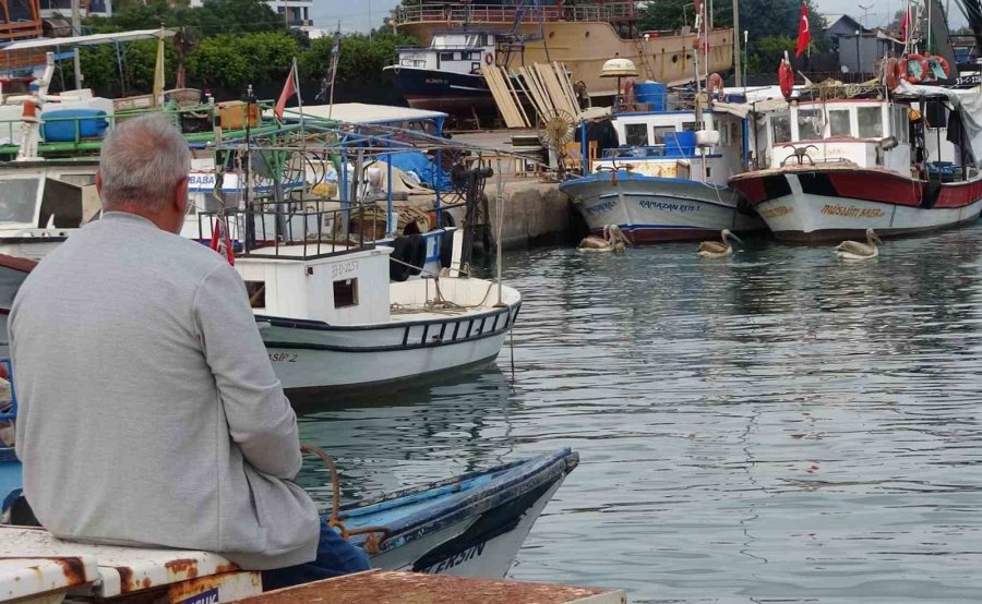 Mersin’de 5 Pelikan Balıkçı Barınağında Mola Verip Balık Avladı