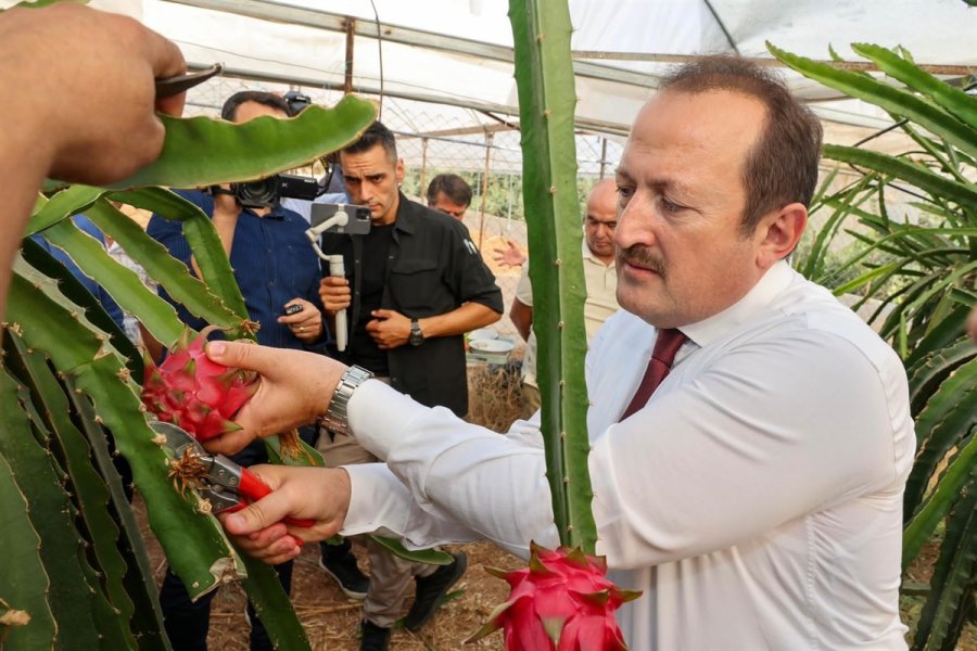 Vali Pehlivan’dan Vatandaşa Türk Bayraklı Kutlama