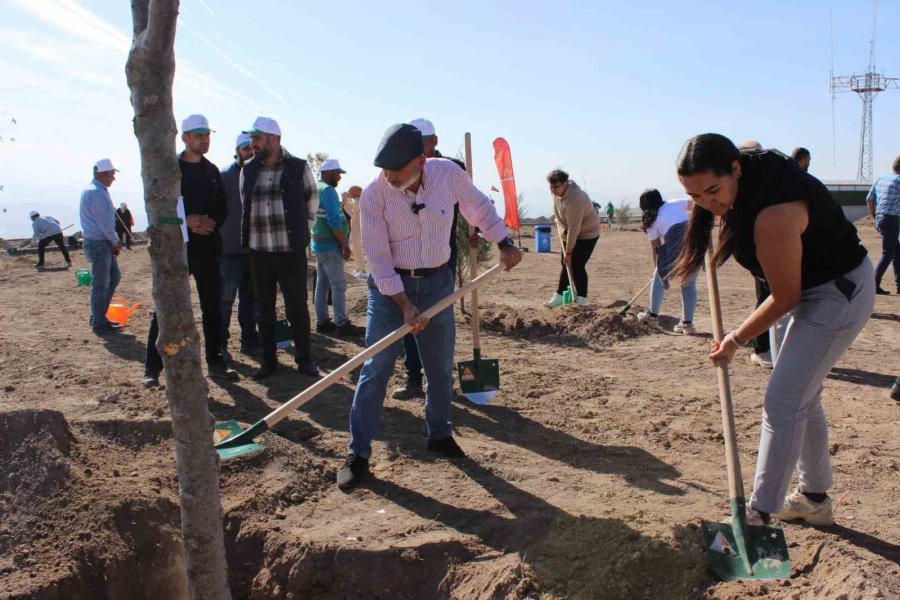 Başkan Çolakbayrakdar, 100. Yılında 100 Genç İle 100 Ağaç Dikti