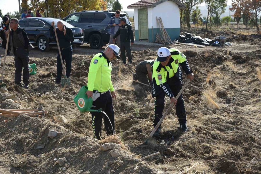 Eskişehir İlinde ‘cumhuriyetimizin 100’üncü Yılı Hatıra Ormanı’ Kuruldu