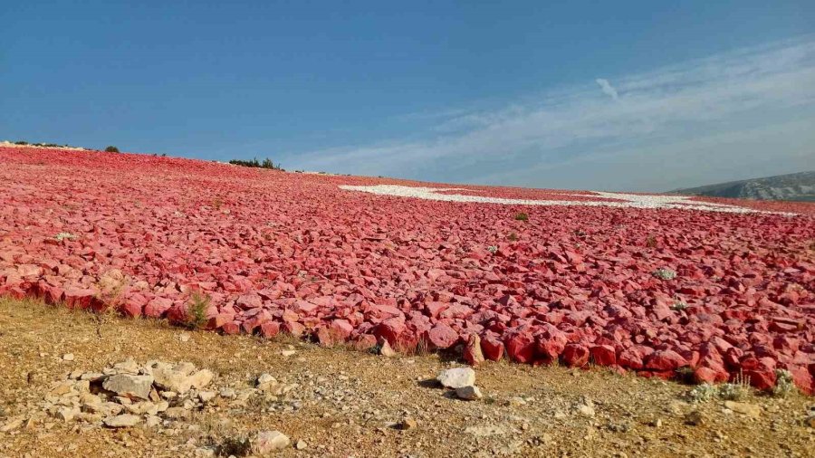 3 Kilometre Yürüyerek Dağ Yamacındaki Dünyanın En Büyük Türk Bayrağına Ulaştılar