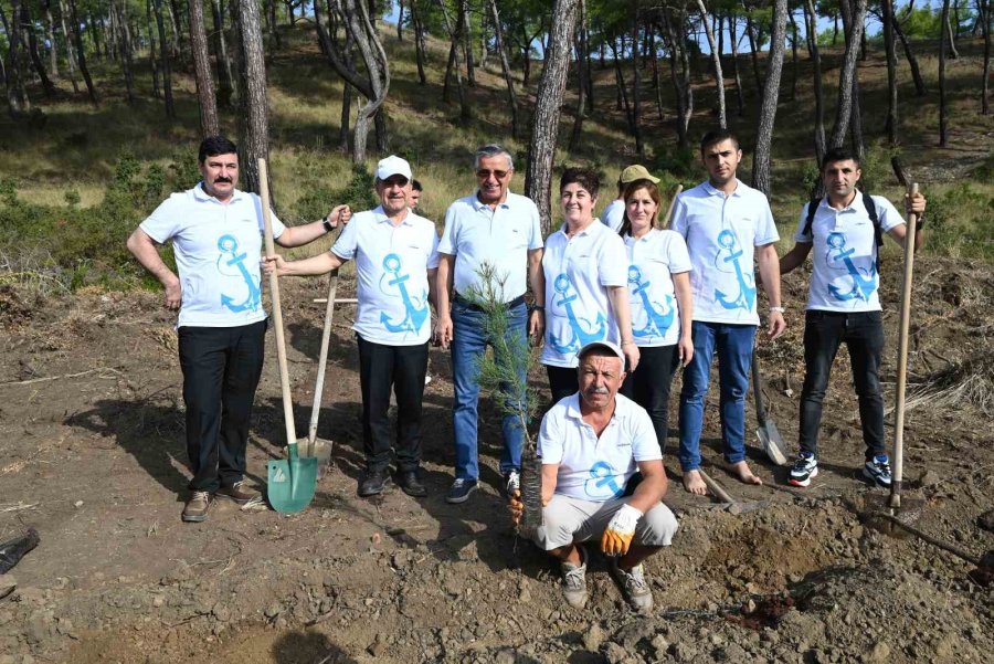 Cumhuriyet’in 100’üncü Yılında 1923 Fidan Dikildi