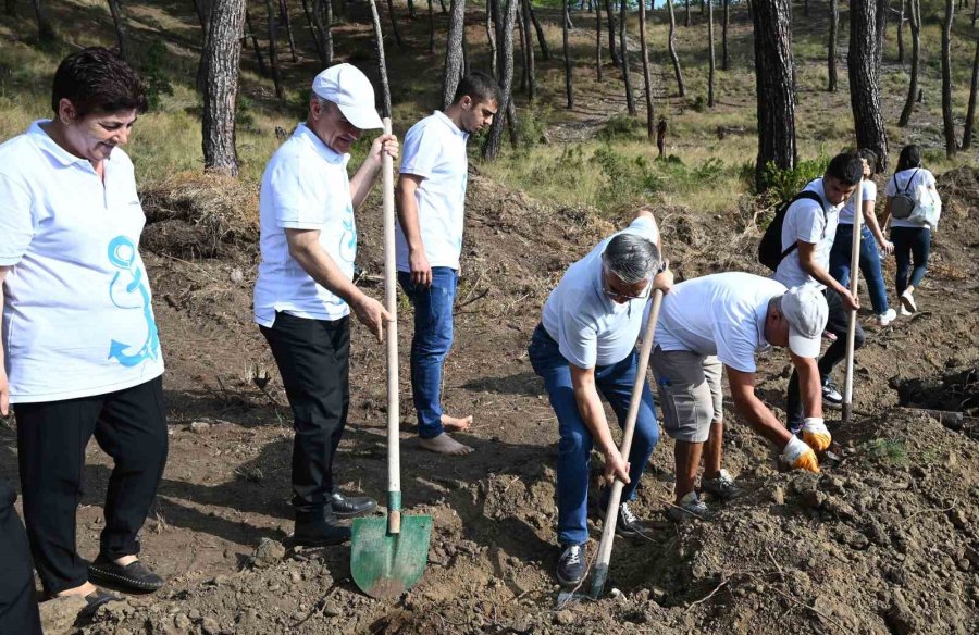 Cumhuriyet’in 100’üncü Yılında 1923 Fidan Dikildi