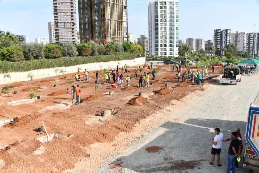 Yenişehir’de Yeşil Alan Miktarı Artıyor