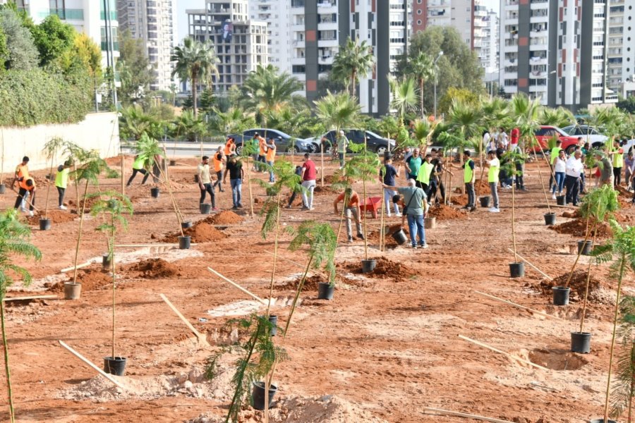 Yenişehir’de Yeşil Alan Miktarı Artıyor