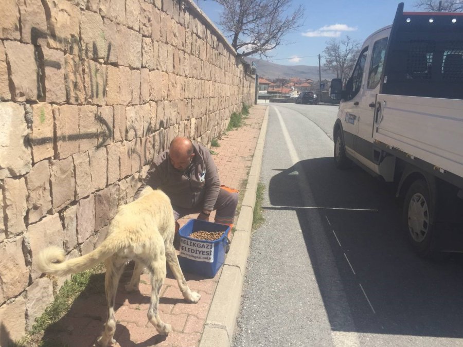 Daha Temiz Ve Sağlıklı Bir Çevre İçin Melikgazi’de Çalışmalar Aralıksız Devam Ediyor