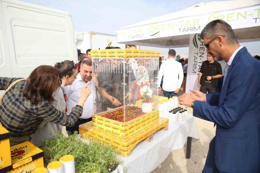 Üreticilerin Korkulu Rüyasına Karşı Biyolojik Mücadele Başladı