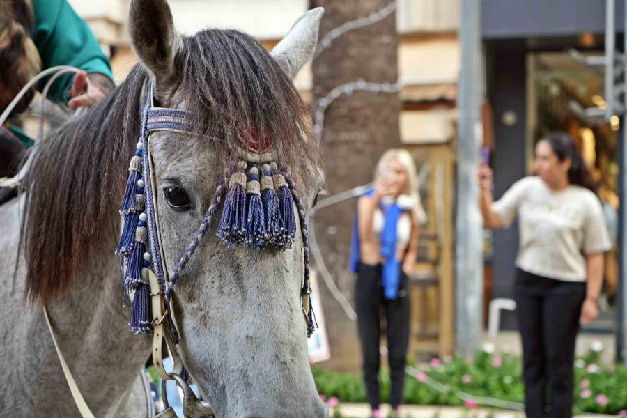 Antalya’da 2. Uluslararası Yörük Türkmen Festivali ‘yörük Göçü’ İle Başladı