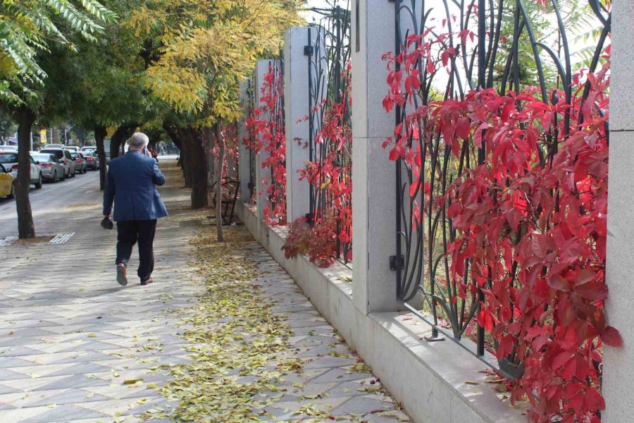 Eskişehir’de Renkli Yaprakların Uyumlu Görüntüsü Dikkat Çekiyor