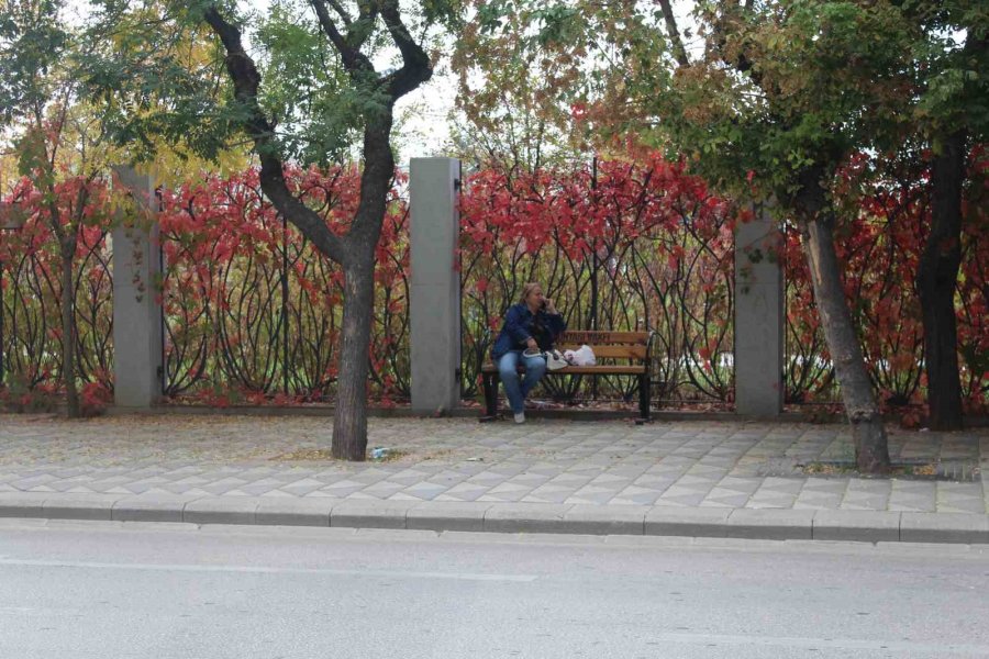 Eskişehir’de Renkli Yaprakların Uyumlu Görüntüsü Dikkat Çekiyor