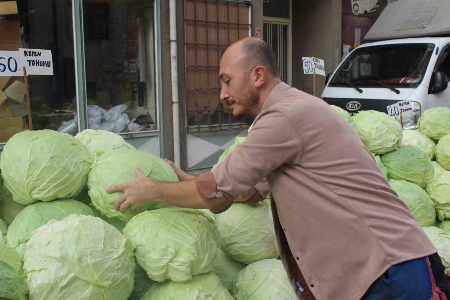 Kış Mevsiminin Favori Sebzesi Lahana Tezgâhlarda Yerini Aldı