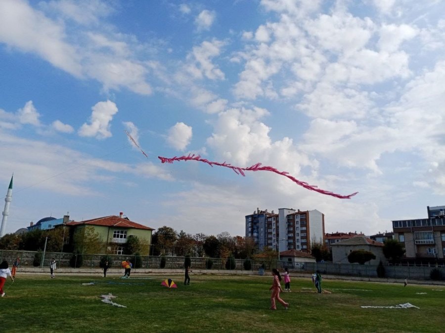 Karapınar’da Uçurtma Şenliği Düzenlendi