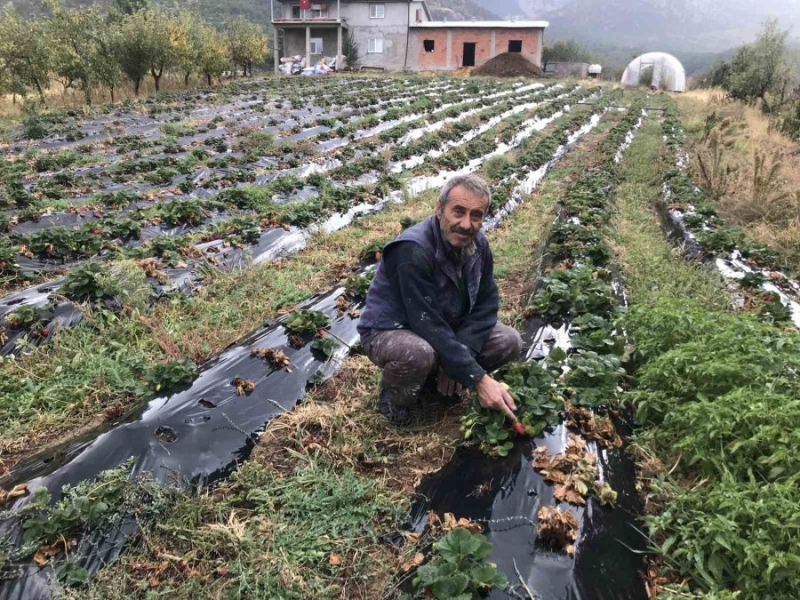 Sulama Sahalarında Suyun Verimli Kullanımı İçin Kartlı Sayaç