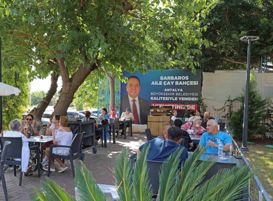 Yenilen Barbaros Çay Bahçesi, Eski Günlerine Döndü