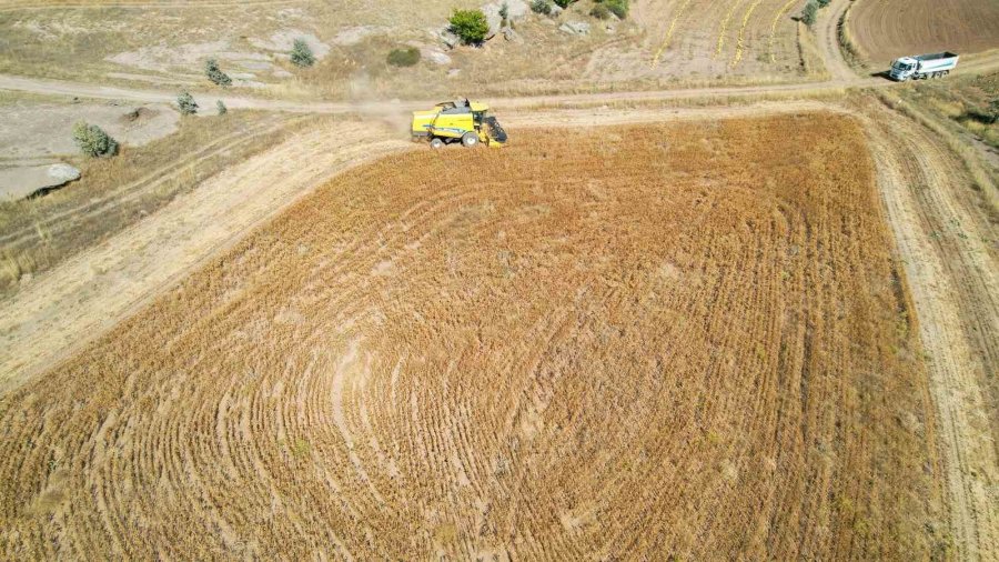 Talas’ta 2 Bin 500 Litre Aspir Yağı Alındı