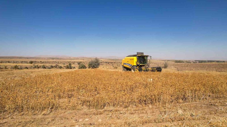 Talas’ta 2 Bin 500 Litre Aspir Yağı Alındı