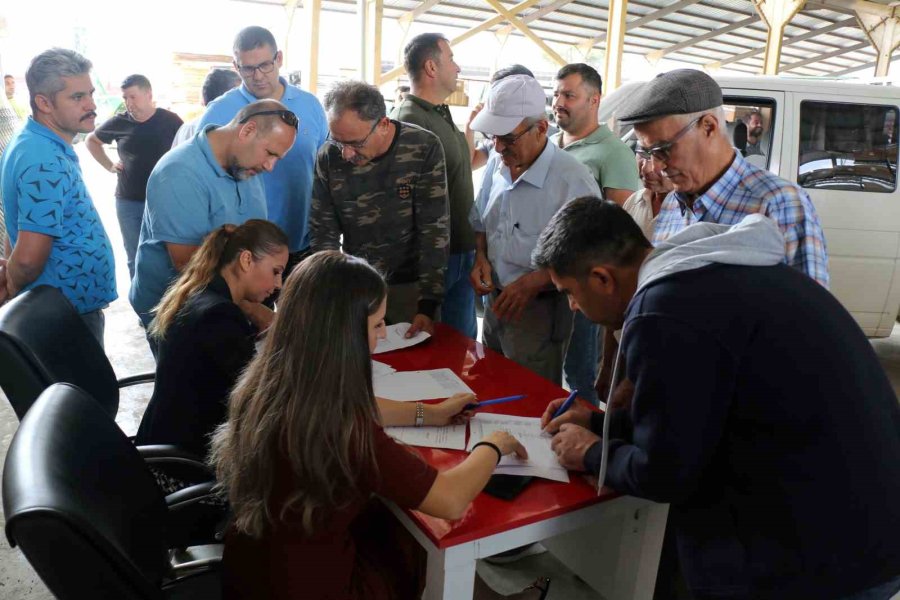 Büyükşehirden Üreticilere 2 Bin 500 Adet Arı Kovanı Desteği