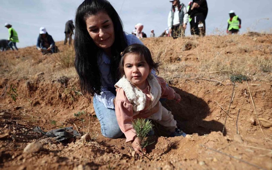 Kto Avrupa Birliği Hatıra Ormanına 10 Bin Fidan Dikildi