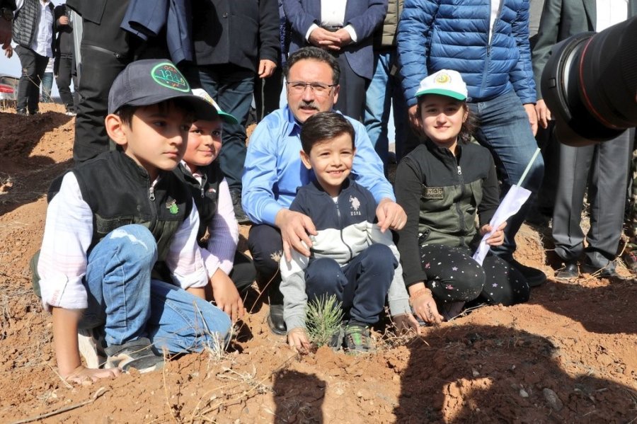 Kto Avrupa Birliği Hatıra Ormanına 10 Bin Fidan Dikildi