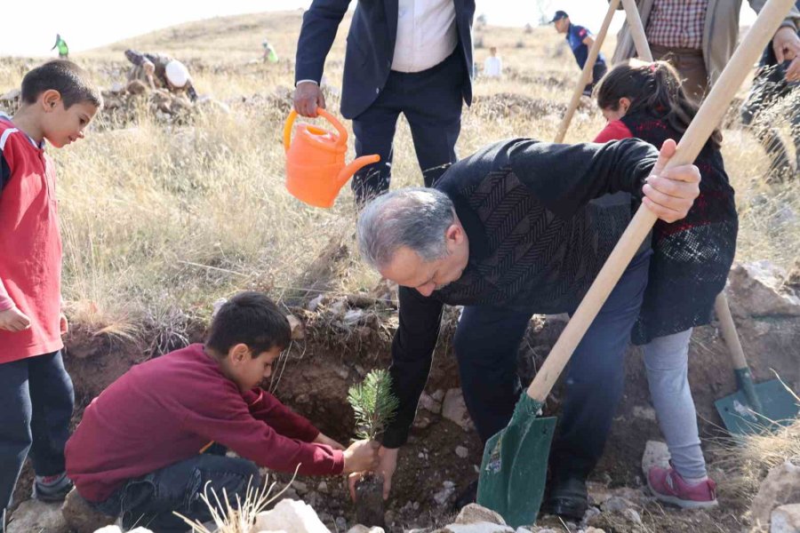 Talas’ta Topyekun Ağaçlandırma Günü Etkinliği