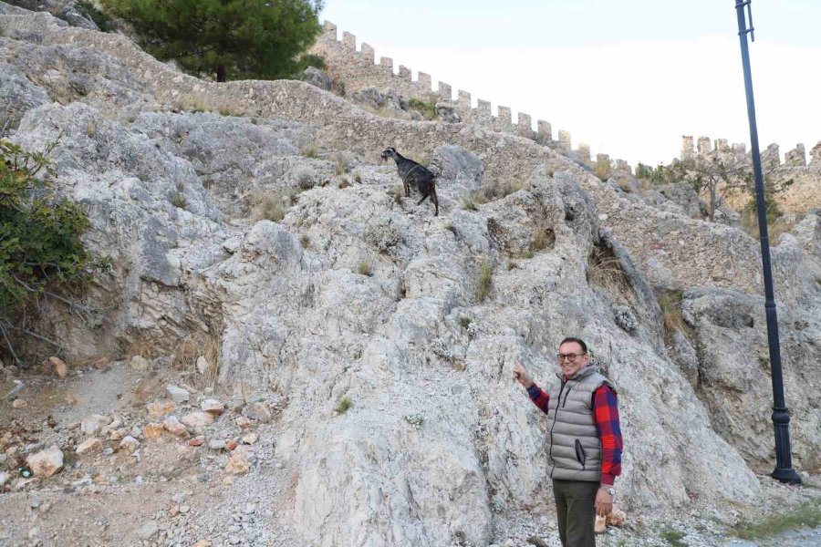 Alanya’da Tedavi Edilen Yaralı Keçi Doğaya Bırakıldı